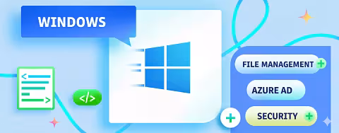 Alt text for the image