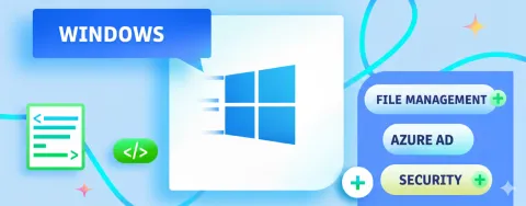 Alt text for the image