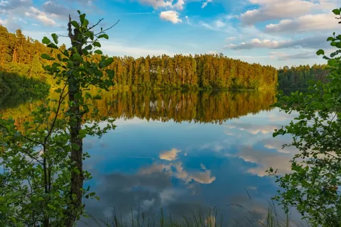 eesti keele kursus A2.2