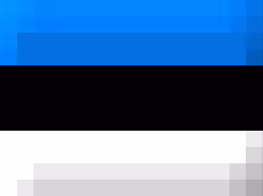 Eesti keele B2.2- tase (eksamiks ettevalmistav kursus)