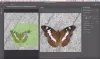 Adobe Photoshop %26#8212; базовые навыки, 40ак. часов